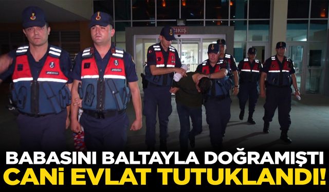 Babasını baltayla parçalara bölen şahıs tutuklandı!