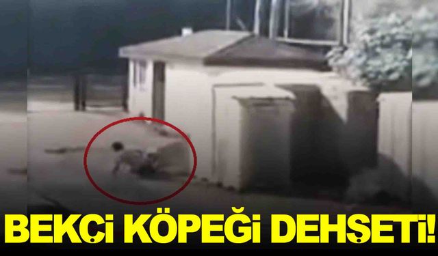 Bekçi köpeği saldırdı… Vatandaş yaralandı… O anlar kamerada