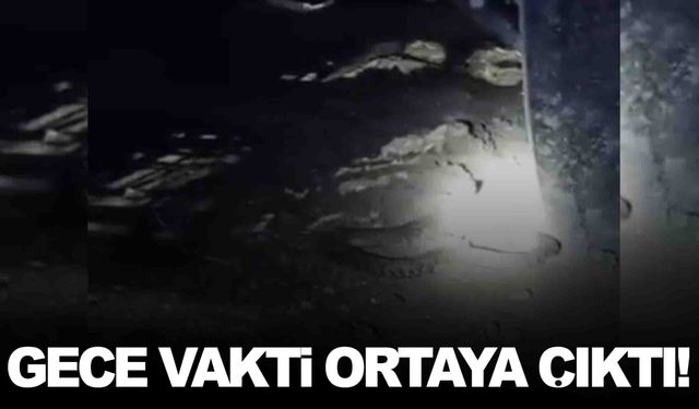 Bir ısırığı insanı öldürüyor… Gece vakti ortaya çıktı!