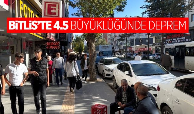 Bitlis'te 4.5 büyüklüğünde bir deprem meydana geldi