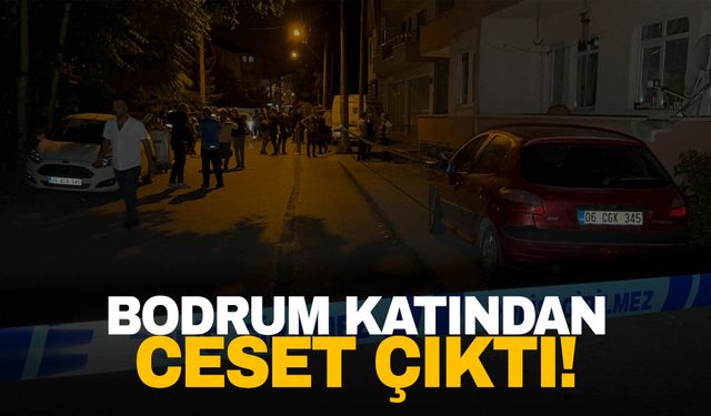 Düzce'de bodrum katından gelen kötü koku acı gerçeği ortaya çıkardı