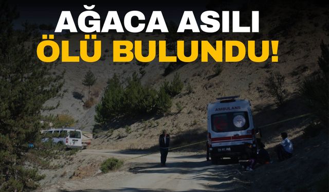 Bolu’da bir adam ağaca asılı halde ölü bulundu