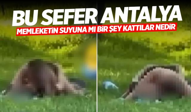 Bu Sefer Antalya... Uygunsuz Görüntüler Kameralara Yansıdı!