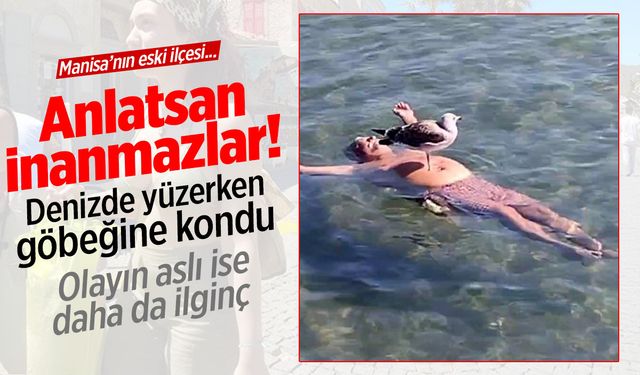 Denizde yüzerken göbeğine kondu! Turizm merkezinde şaşırtan anlar...