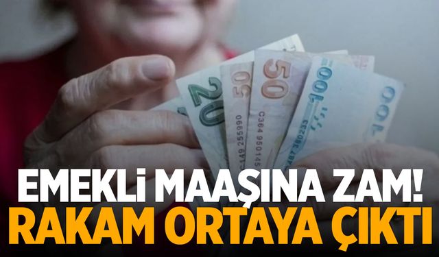 Emekli Maaşına Zam İçin Beklenen Rakamlar Ortaya Çıktı