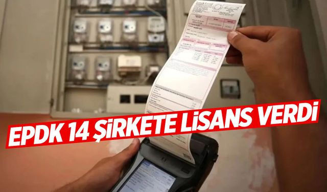 EPDK'dan 14 şirkete lisans