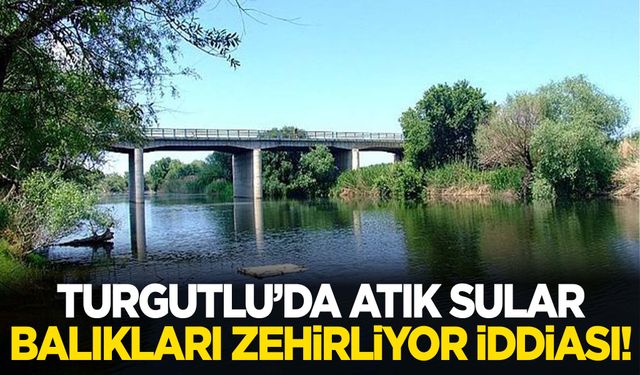 Turgutlu’da atık sular balıkları zehirliyor iddiası!