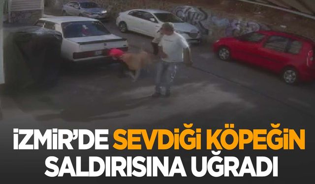 İzmir'de 6 yaşındaki çocuk sevdiği köpeğin saldırısına uğradı! Korku dolu anlar kamerada!