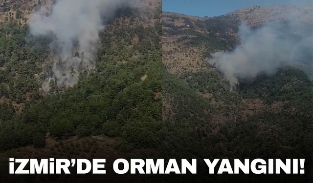 İzmir’de yangın! Kemalpaşa’da dumanlar yükseldi