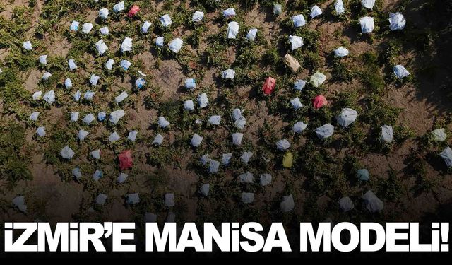 İzmir’e Manisa modeli… Üzümlerini böyle koruyorlar!