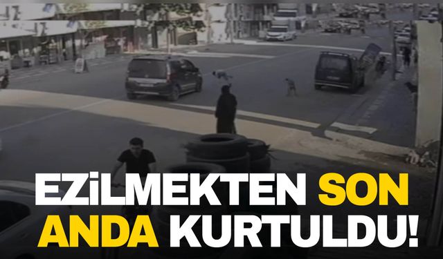 Şanlıurfa'da Köpeğin kovaladığı çocuk ezilmekten son anda kurtuldu