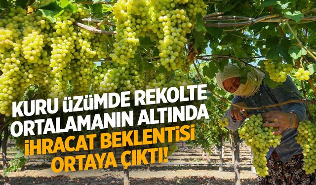 Kuru üzümde rekolte düşük... İhracat hedefi ise ortaya çıktı