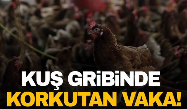 Kuş gribinde korkutan vaka!