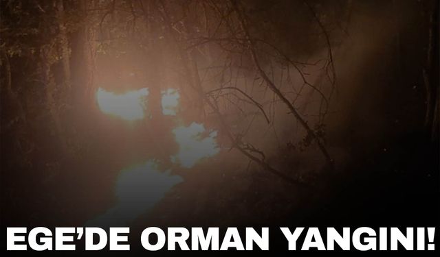 Kütahya’da orman yangını! Ekipler kontrol altına aldı