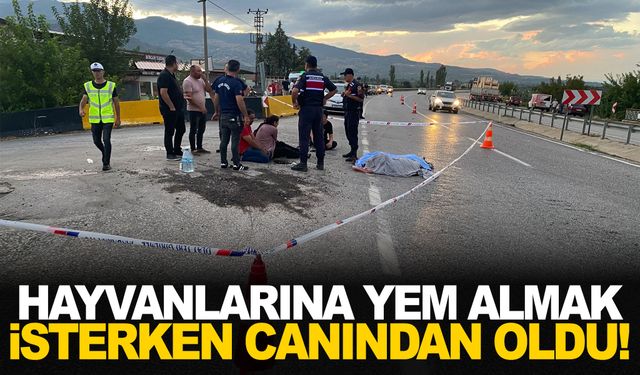 Manisa’da hayvanlarına yem almak isterken otomobil çarptı