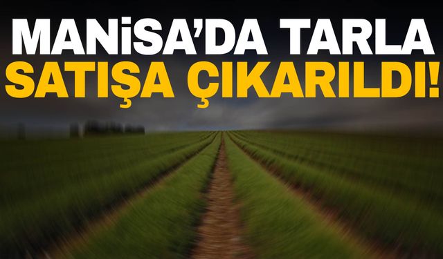 Manisa’da tarla icradan satılık!