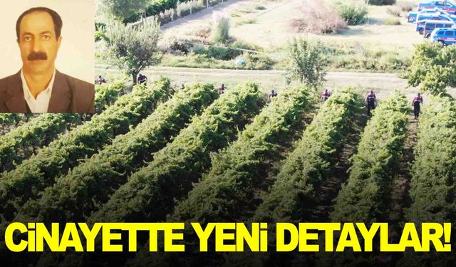 Manisa’daki cinayette yeni detaylar… Üzüm bağında öldürülmüş!