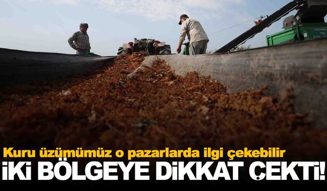 Manisalı üreticileri de yakından ilgilendiriyor… Kuru üzüm için yeni pazar önerisi!