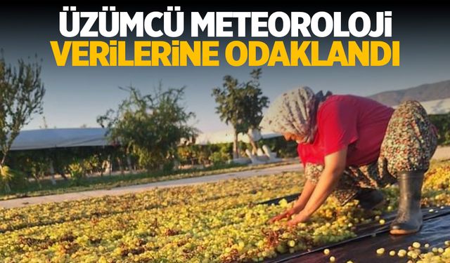 Manisalı üzümcü meteoroloji verilerini bekliyor!