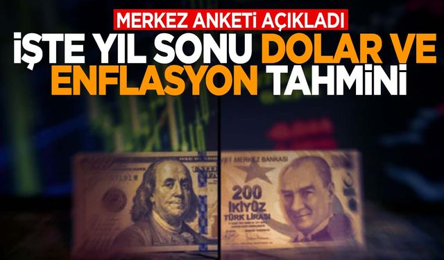 Merkez Bankası anketinde enflasyon ve dolar tahmini ne oldu?