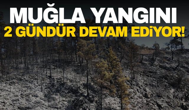 Muğla'daki orman yangını 2 gündür sürüyor