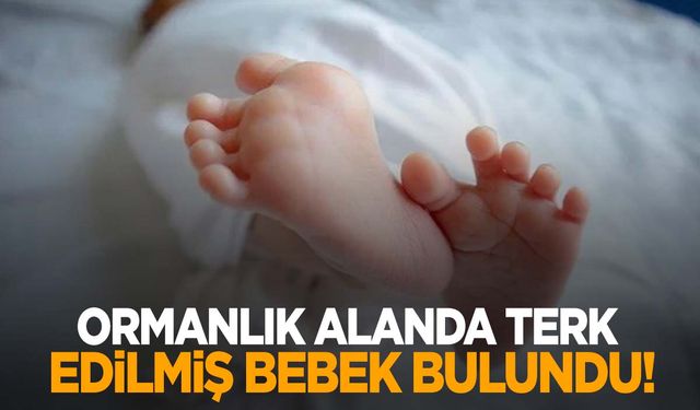 Muğla’da şok olay! Yeni doğmuş bebeği terk ettiler!