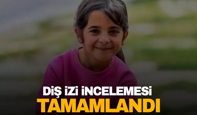 Narin soruşturmasında diş izi incelemesi tamamlandı