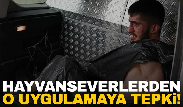 O uygulamaya hayvanseverlerden tepki!