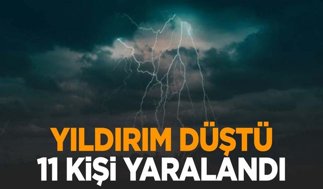 Odun toplayan vatandaşların üzerine yıldırım düştü: 11 yaralı