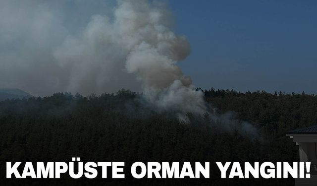 Samsun'da üniversite kampüsünde orman yangını!