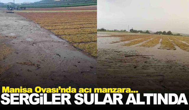 Üzüm başkentinde tablo vahim… Sergiler sular altında kaldı