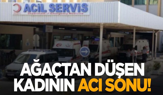 Talihsiz kadının acı sonu… Ağaçtan düşen kadın öldü!