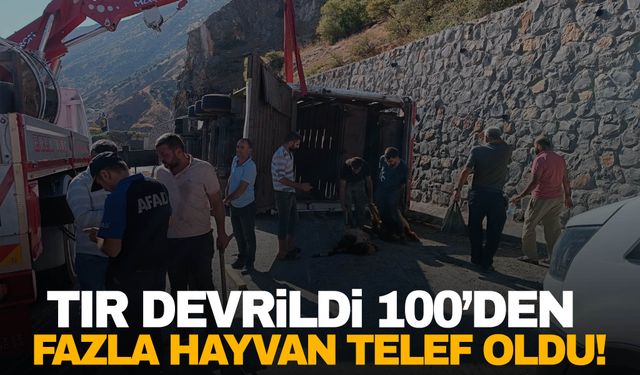 Bitlis'te tır devrilmesi sonucu 100’den fazla küçükbaş hayvan telef oldu!