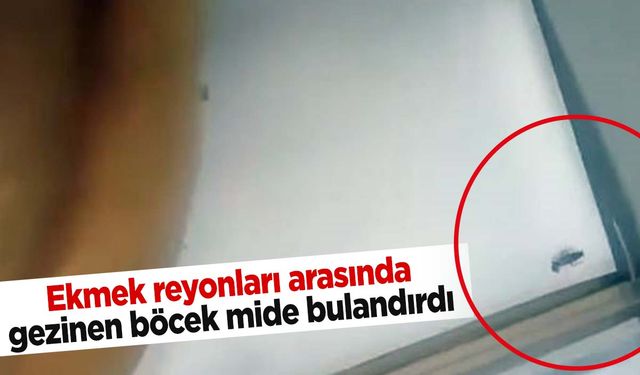 Ünlü zincir marketin ekmek reyonunda ‘böcek’ şoku