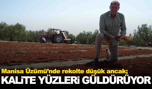 Üzümde rekolte düşük ama kalite yüksek!