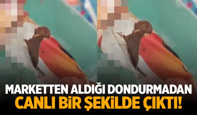 Zincir marketin dondurmasından çıktı! Görenler şaşkına döndü!