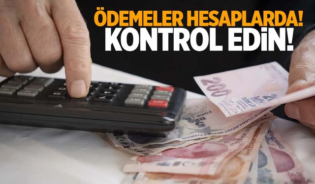 185,8 milyon lira destek ödemesi hesaplara yatırıldı!