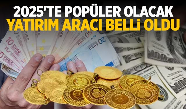 2025’te Altını Geçecek Yatırım Aracı Belli Oldu