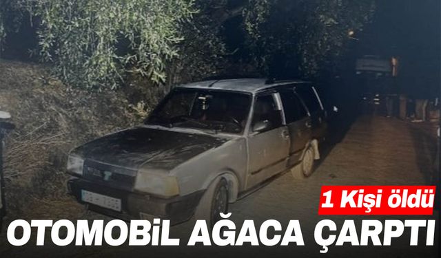 Aydın’da feci kaza! Otomobil ağaca saplandı: 1 ölü