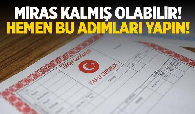 Size Miras Kalmış Olabilir! Kalan Miras Nasıl Bulunur? İşte Bilinmeyen Miras Sorgulama.