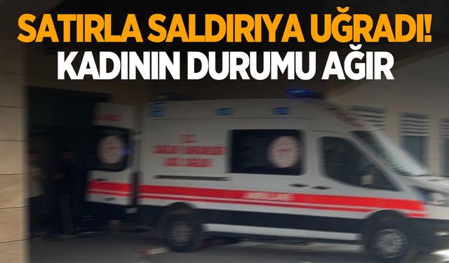 Birlikte yaşadığı kadına satırla saldırdı!