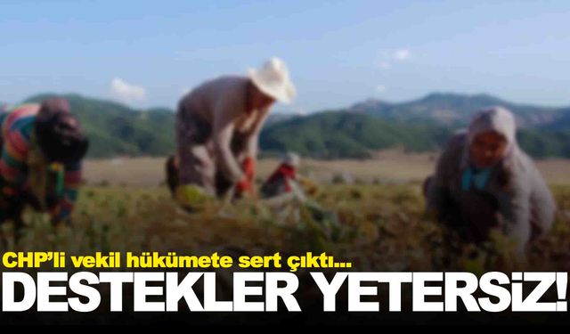 Çiftçinin aldığı destek borcuna yetmiyor!