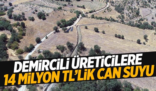 Demircili üreticilere bir müjde daha! 14 milyon lira ek gelir…