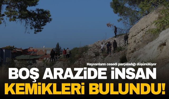 Denizli’de şaşırtan olay! Boş arazide insan kemikleri bulundu