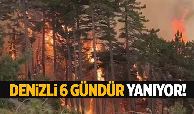 Denizli’deki orman yangını 6 gündür sürüyor!