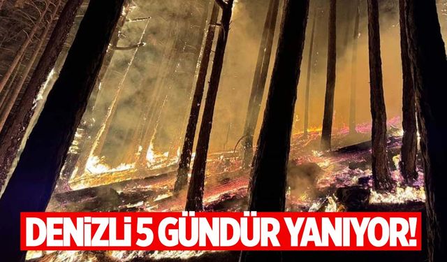 Denizli 5 gündür yanıyor!