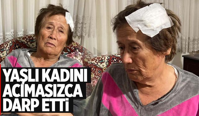 Ege’de yaşlı kadını sopa ve bisiklet ile acımasızca darp etti!