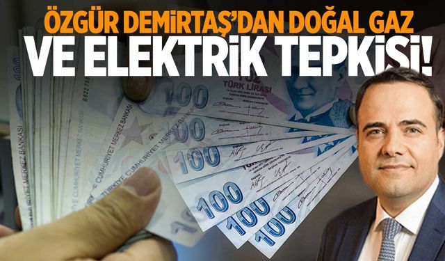 Elektrik ve doğal gaza neden zam yok? Özgür Demirtaş açıkladı!