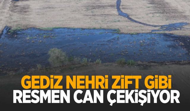 Gediz Nehri can çekişiyor!