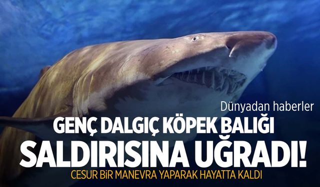 Genç dalgıcın zor anları… Köpek balığı saldırısından bıçakla kurtuldu!